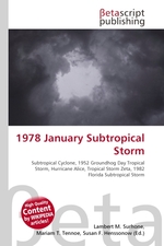 1978 January Subtropical Storm
