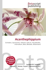 Acanthephippium