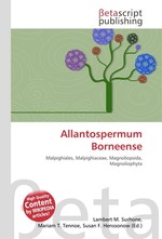 Allantospermum Borneense