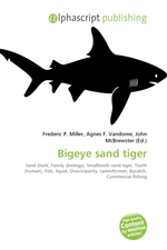 Bigeye sand tiger