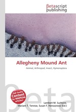 Allegheny Mound Ant