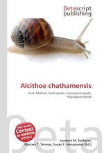 Alcithoe chathamensis