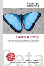 Cracker Butterfly