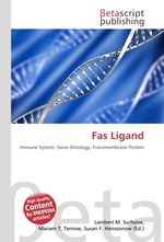 Fas Ligand