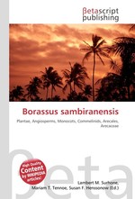 Borassus sambiranensis