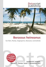 Borassus heineanus