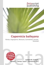 Copernicia baileyana