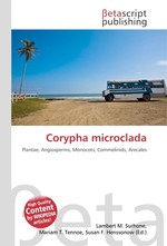 Corypha microclada