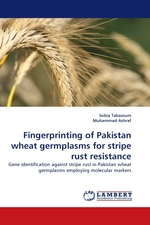 Fingerprinting of Pakistan wheat germplasms for stripe rust resistance. Gene identification against stripe rust in Pakistan wheat germplasms employing molecular markers