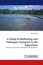 A Study of Biofouling and Pathogen Transport in the Subsurface. Discovery of Processes in Water Well Environments