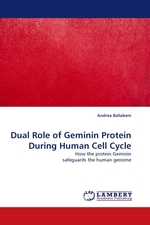 Dual Role of Geminin Protein During Human Cell Cycle. How the protein Geminin safeguards the human genome