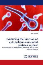 Examining the function of cytoskeleton-associated proteins in yeast. A combination of yeast genetics, molecular biology, and real-time imaging