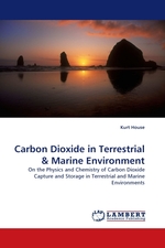 Carbon Dioxide in Terrestrial. On the Physics and Chemistry of Carbon Dioxide Capture and Storage in Terrestrial and Marine Environments