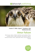 Amur Falcon