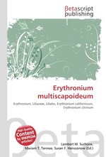 Erythronium multiscapoideum