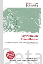 Erythronium klamathense