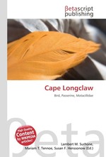 Cape Longclaw