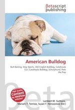 American Bulldog