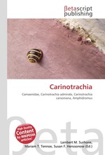 Carinotrachia