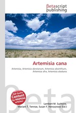Artemisia cana