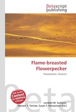 Flame-breasted Flowerpecker