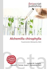 Alchemilla chirophylla
