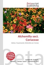 Alchemilla sect. Coriaceae