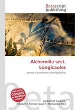 Alchemilla sect. Longicaules