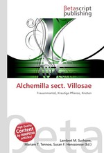 Alchemilla sect. Villosae