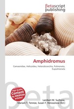 Amphidromus