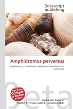 Amphidromus perversus