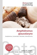 Amphidromus glaucolarynx