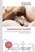 Amphidromus kruehni