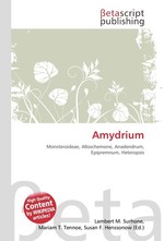 Amydrium