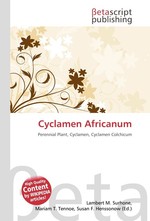 Cyclamen Africanum