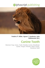 Canine Tooth