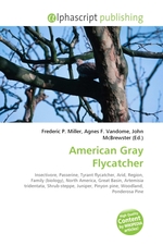 American Gray Flycatcher