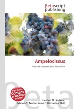 Ampelocissus