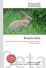 Broom Hare