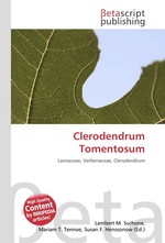Clerodendrum Tomentosum