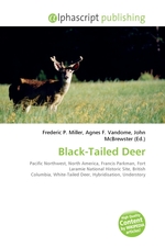 Black-Tailed Deer