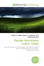 Florida Hurricanes (1975–1999)