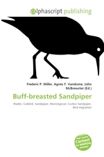 Buff-breasted Sandpiper