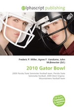 2010 Gator Bowl