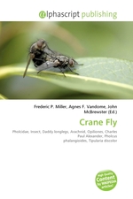 Crane Fly