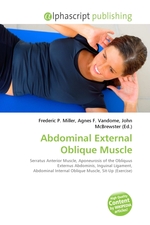 Abdominal External Oblique Muscle