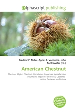 American Chestnut