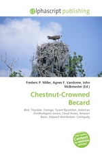 Chestnut-Crowned Becard
