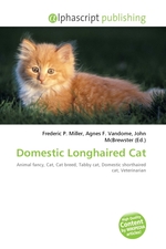Domestic Longhaired Cat