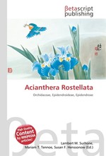 Acianthera Rostellata